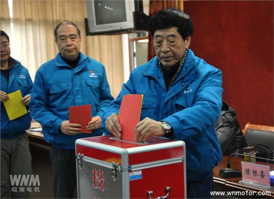 皖南電機(jī)陳根喜、管兵在投票現(xiàn)場