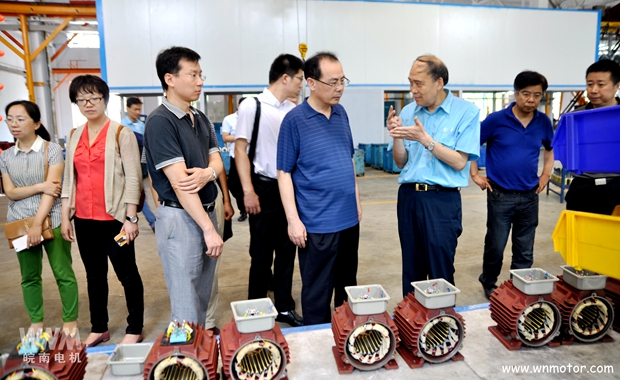 皖南電機(jī)陪同宋志明副司長(zhǎng)在線圈車(chē)間參觀調(diào)研